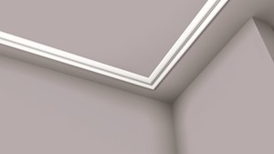 NMC_02_nomastyl_n_cornices_a_cbs.jpg
